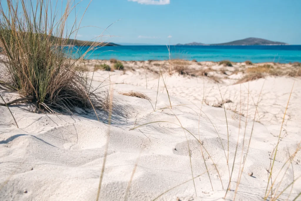 best beaches Peloponnese  Voidokilia beach guide, Elafonisos island ferry 2026, Mani peninsula swimming, best beaches near Nafplio