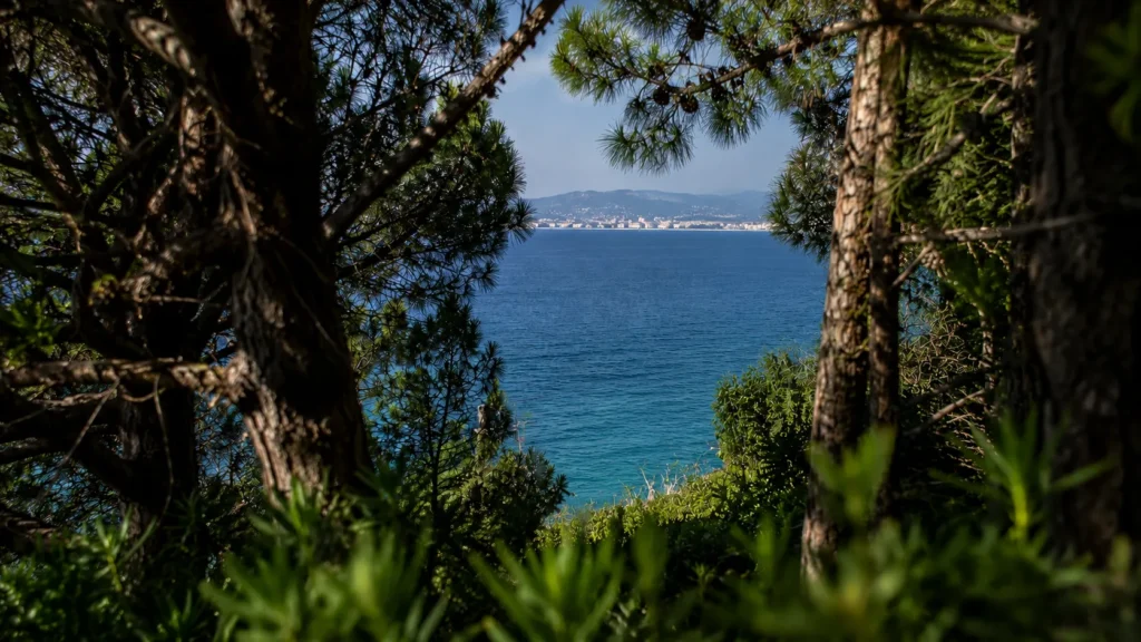  how to get from Nice to Antibes nice to antibes train, nice to antibes bus, nice to antibes by car, antibes train station, nice antibes distance, ter train nice antibes