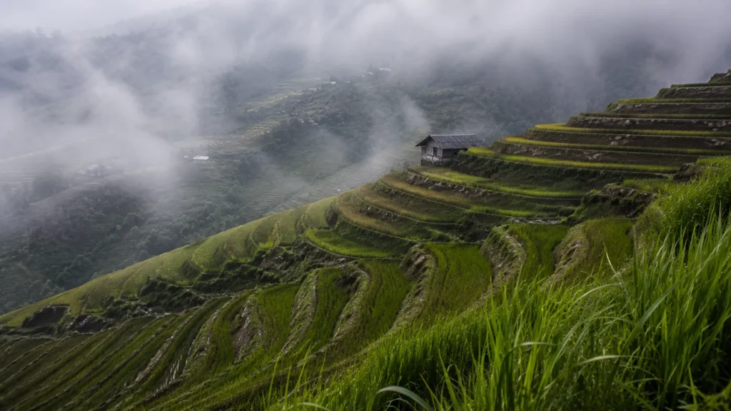 Sapa Valley travel guide  Sapa Vietnam 2026, slow travel Sapa highlands, Sapa travel tips, northern Vietnam highlands guide