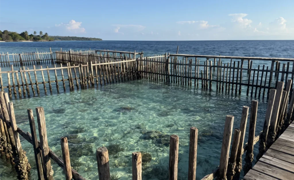 karimunjawa snorkeling ,karimunjawa island hopping, best tours in karimunjawa 
