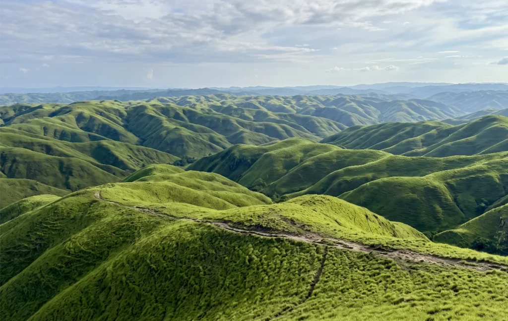 WAIRINDING HILLS sumba