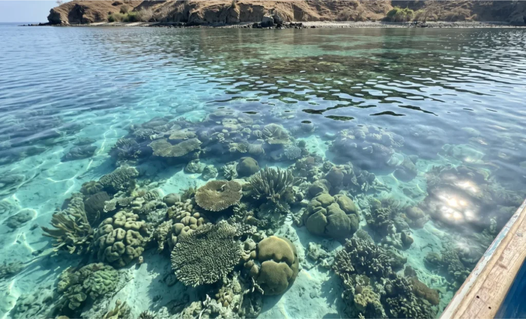 Sumbawa travel guide, is Sumbawa worth visiting, things to do in Sumbawa, west Sumbawa  