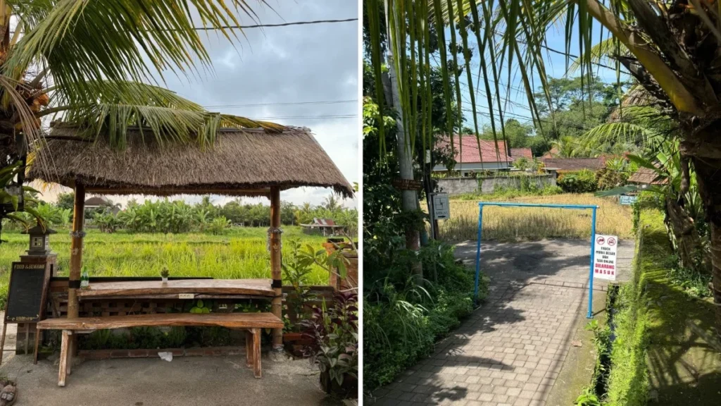 affordable private pool villas bali budget villas ubud, private pool villa bali cheap