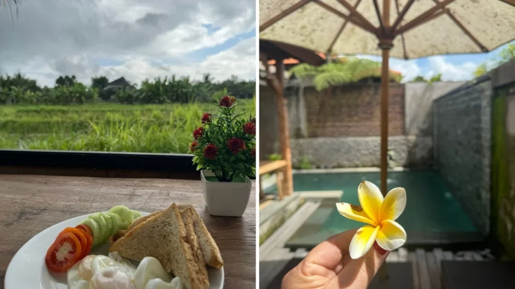 affordable private pool villas bali budget villas ubud, private pool villa bali cheap