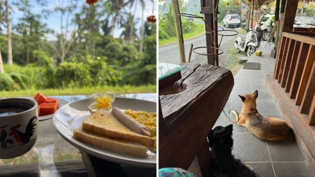 affordable private pool villas bali budget villas ubud, private pool villa bali cheap