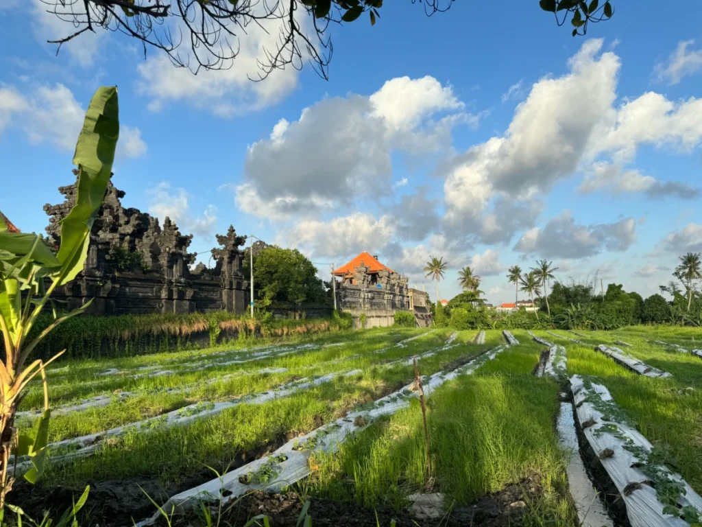 where to stay in bali , best area to stay in bali, luxury hotels bali, best neighborhoods bali
