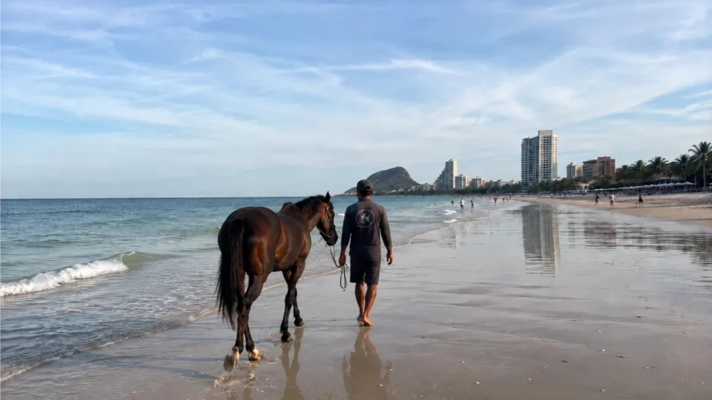 things to do in Hua Hin , best things to do in Hua Hin, Hua Hin attractions, Hua Hin day trips, activities in Hua Hin, Hua Hin places to visit