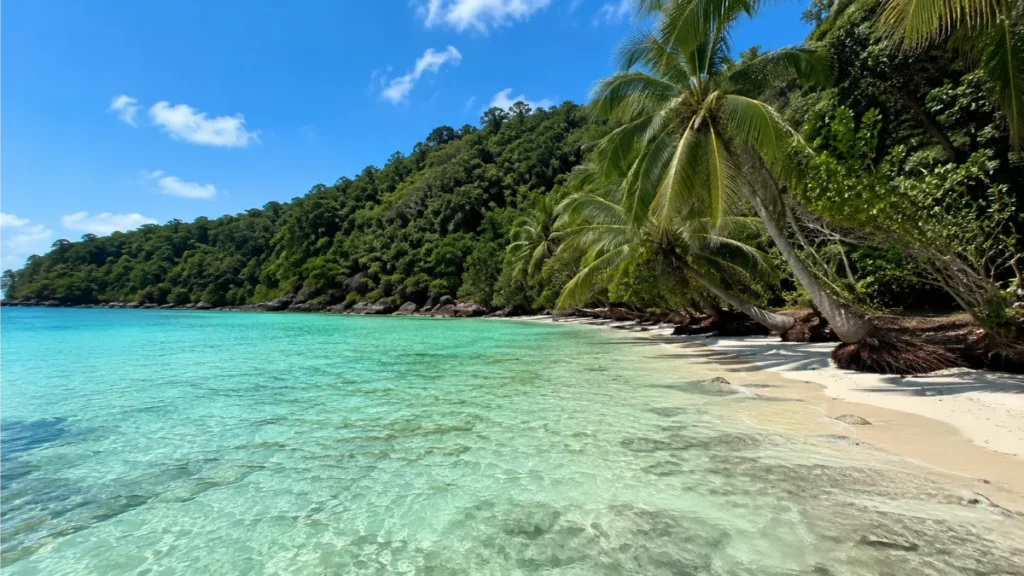 how to get to koh kood ,trat to koh kood ferry schedule