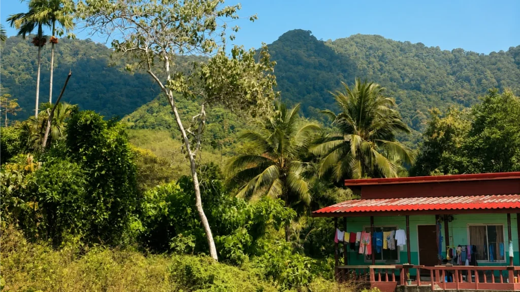 lanta old town to national park  Krabi airport to Koh Lanta