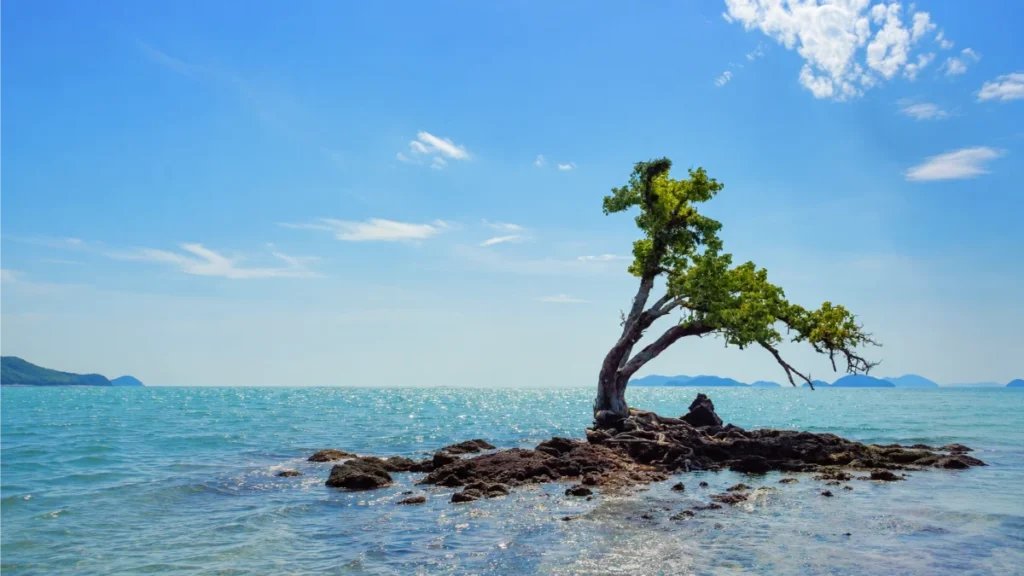 how to get to koh mak , bangkok to koh mak ferry, koh chang to koh mak speedboat, laem ngop pier to koh mak