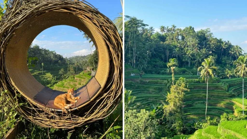 Bali itinerary 10 days , 10 days in Bali, Bali 10 day itinerary