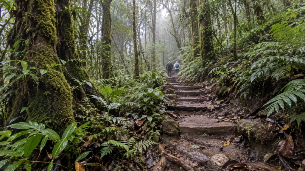 Chiang Mai 3 day itinerary , Chiang Mai itinerary, things to do in Chiang Mai, how to spend 3 days in Chiang Mai Slug: chiang-mai-3-day-itinerary