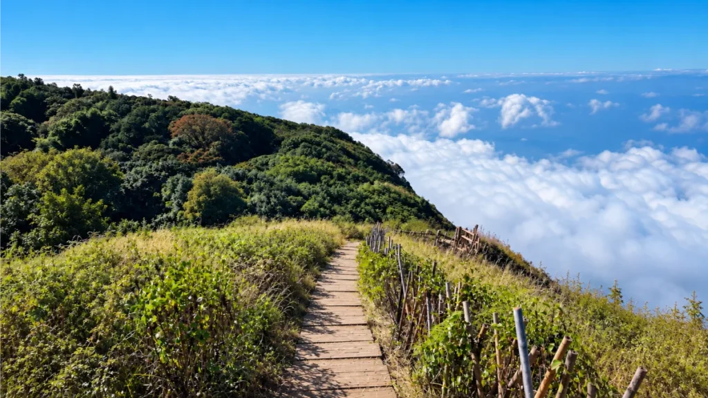 best day trips from Chiang Mai ,Chiang Mai day tours, Doi Inthanon day trip, Sticky Waterfalls Chiang Mai