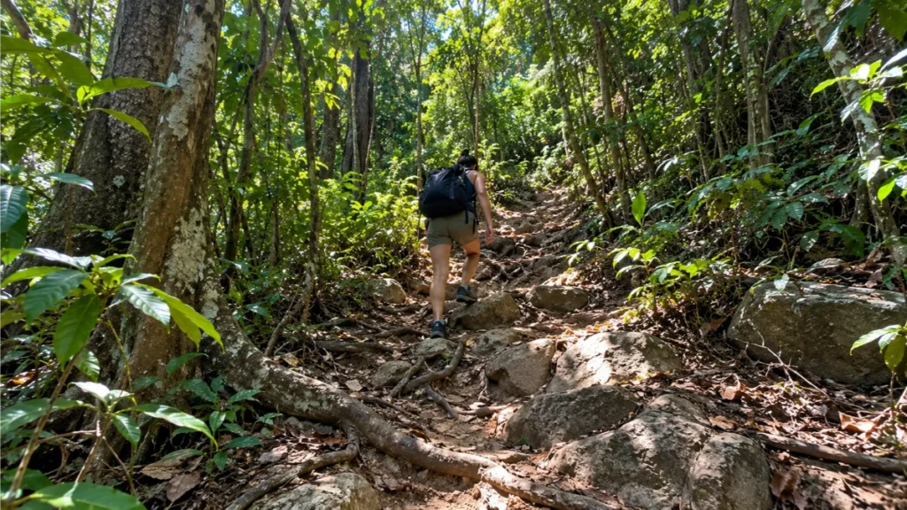 koh adang travel guide ,things to do in koh adang, is koh adang worth visiting, koh adang viewpoint