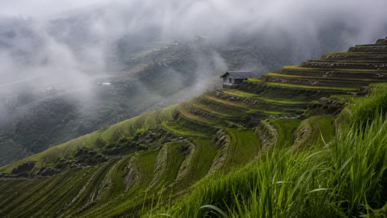 How to Get From Hanoi to Sapa: Train vs Limousine (2026 Guide)