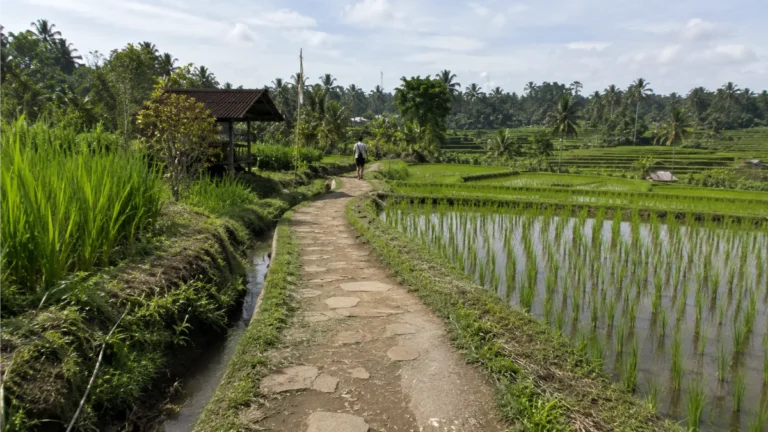 affordable private pool villas bali Secondary Keywords: budget villas ubud, private pool villa bali cheap