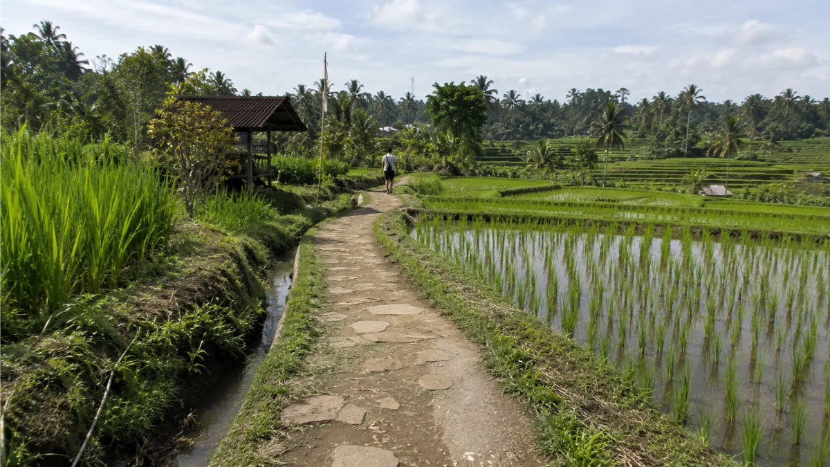 affordable private pool villas bali Secondary Keywords: budget villas ubud, private pool villa bali cheap