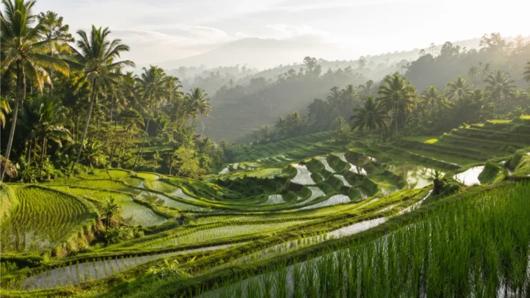 The Ultimate 10-Day Bali Itinerary: Mountains, Islands & Hidden Gems